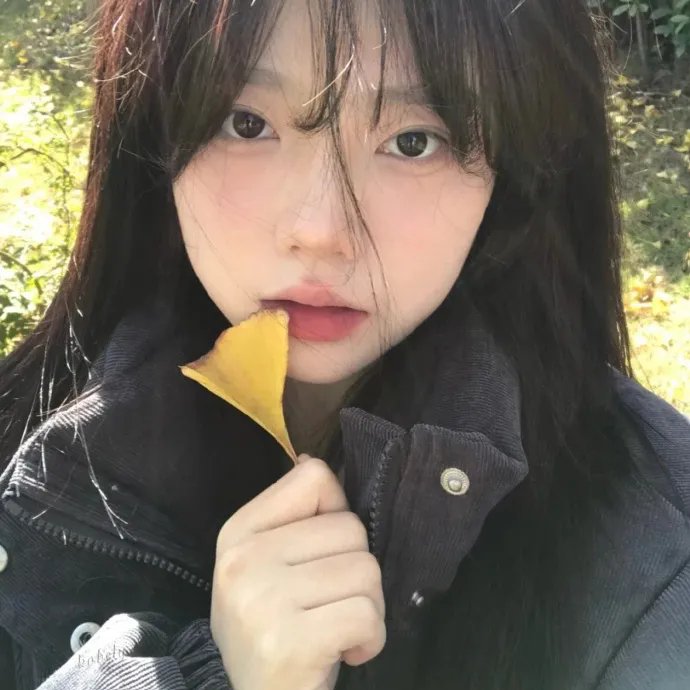 再见玛丽·包萍